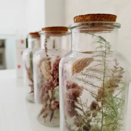 Cottonera Cara شقة