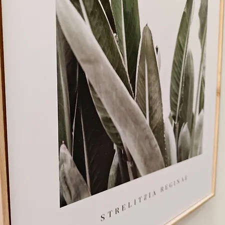 Cottonera Cara Apartment Cospicua