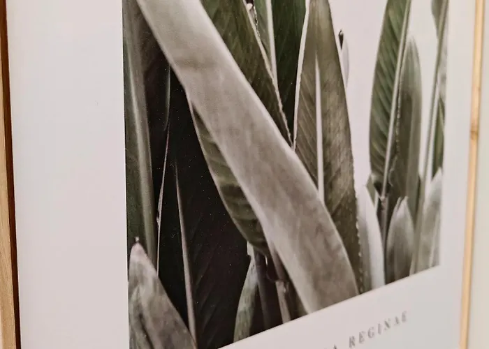 Cottonera Cara דירה Cospicua